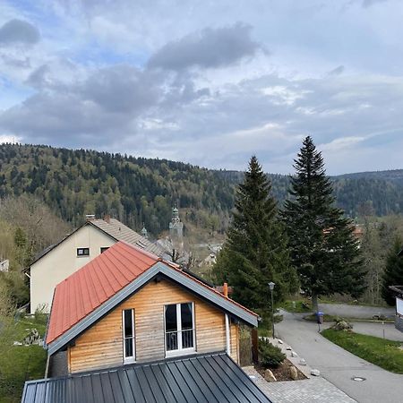 Traumferienwohnung Todtmoos - Appartment Mit Schoenem Wintergarten Exterior foto